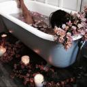 starsshewrote avatar