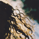 starstrewnspaces avatar