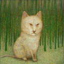 starstruck-43 avatar