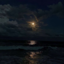 starstruckfanshark avatar