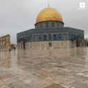 starstruckgladiatornut avatar