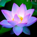 starstruckmoonstruck avatar