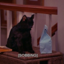 startinanewwithuc avatar