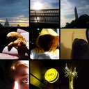 startinginorange avatar