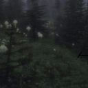 startled-stoat avatar