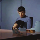 startrekfixation avatar