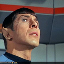 startrekstalker avatar