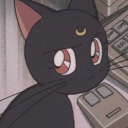 starvin-darlin avatar