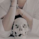 starvingcorpses avatar