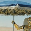 starwarshaven avatar