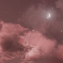 starzz-n-roses avatar