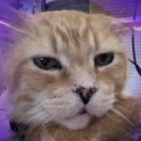 state-of-profound-agitation avatar