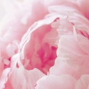 state-of-satisfaction avatar