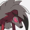 state-raccoon avatar