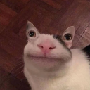 state0fdelusi0n avatar