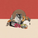 statechampsny avatar