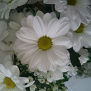 statelesswayoflife avatar