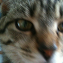 stateofouraffairs avatar