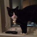 stateofperplexity-blog avatar