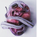 station-interns-official avatar