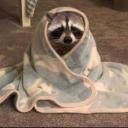 stationary-bike avatar