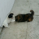 statusuriiiii-aici avatar