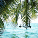 stay--sstrong avatar