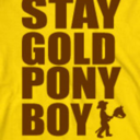 stay-golden-ponyboy avatar