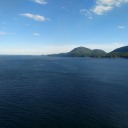 stay-hydrated-stay-angry avatar