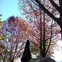 stay-skn-soul avatar