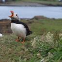 staybackhuwuman avatar