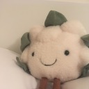 staybeautifvl avatar