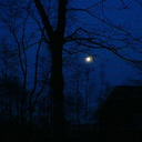 staycalmandfocus avatar