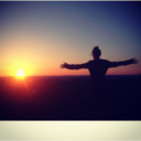 stayhighnolows avatar