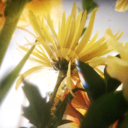 stayinbedallday avatar