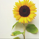 staypositiveeee avatar