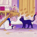 staysseventeen avatar