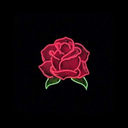 staystrong-55 avatar