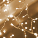 staystrongfighton avatar