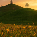 staystrongg155 avatar