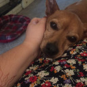 staystrongstayahead avatar