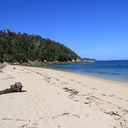 staystrongtraveler avatar