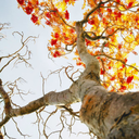 staytruebeyou-blog-blog avatar