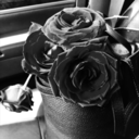 stayweirdasme avatar