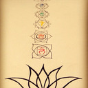 staywild-starchild avatar