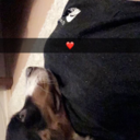 stayx-strongx avatar