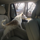 stbdrjmcfingwei avatar