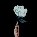 stclenmoments avatar