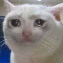 stds-gottacatchemall avatar