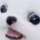 steadywonderdream avatar